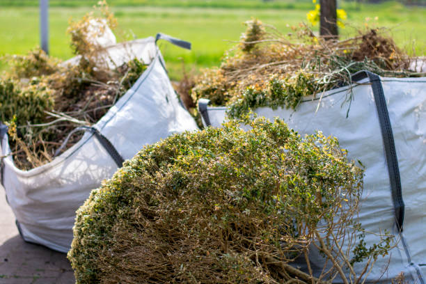 Best Same-Day Junk Removal  in Holgate, OH